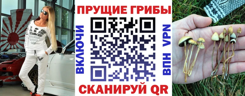 Псилоцибиновые грибы Psilocybine cubensis Дорогобуж
