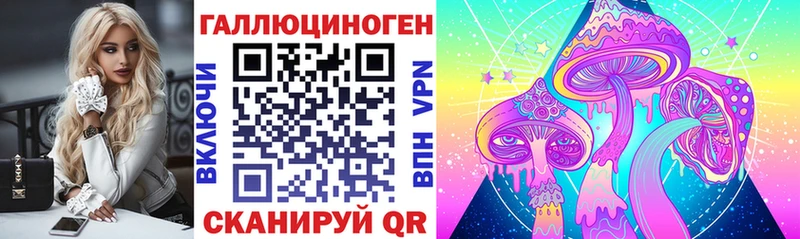 Псилоцибиновые грибы Psilocybe  Дорогобуж 