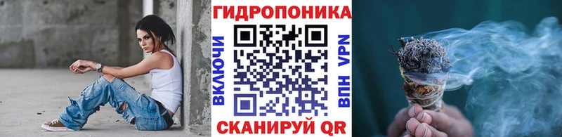 Бошки марихуана Bruce Banner  Дорогобуж 